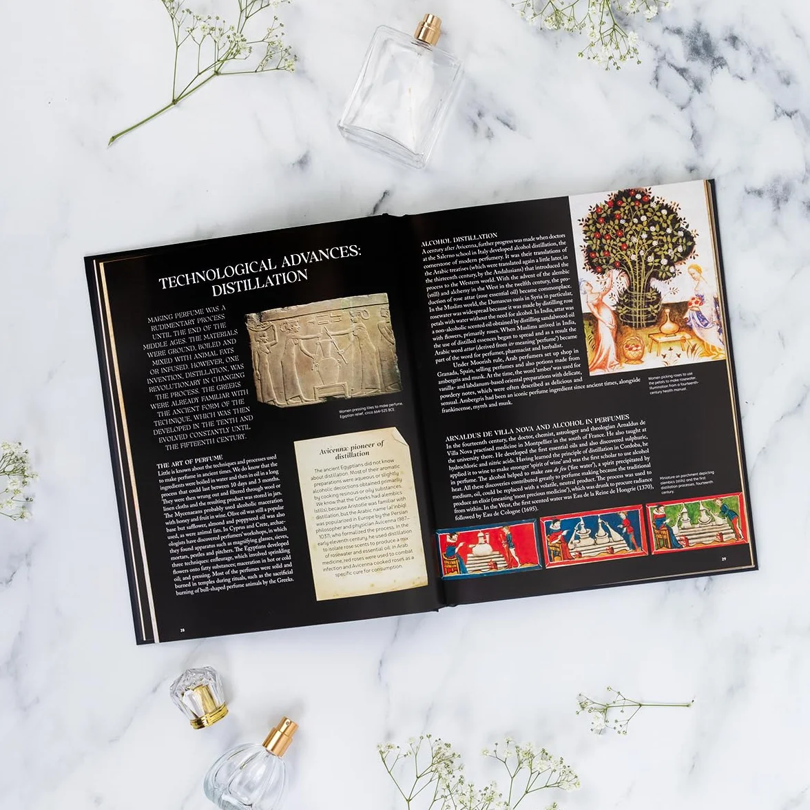 The Story of Perfume: A Lavishly Illustrated Guide